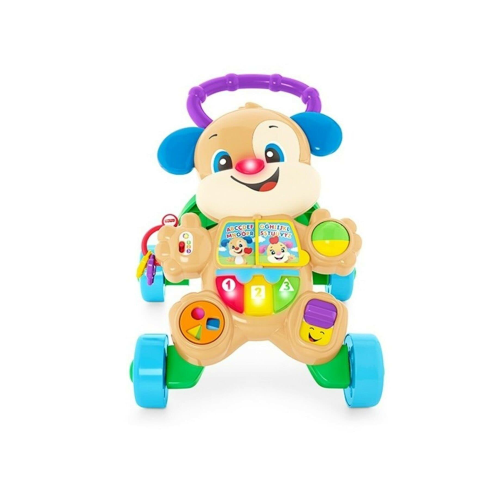 Fisher Price FTG10 Eğitici Köpekçik Yürüteç Türkçe