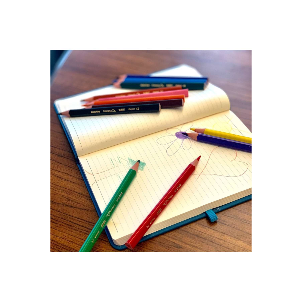 Bic Evolution Üçgen Jumbo Kuru Boya Kalemi