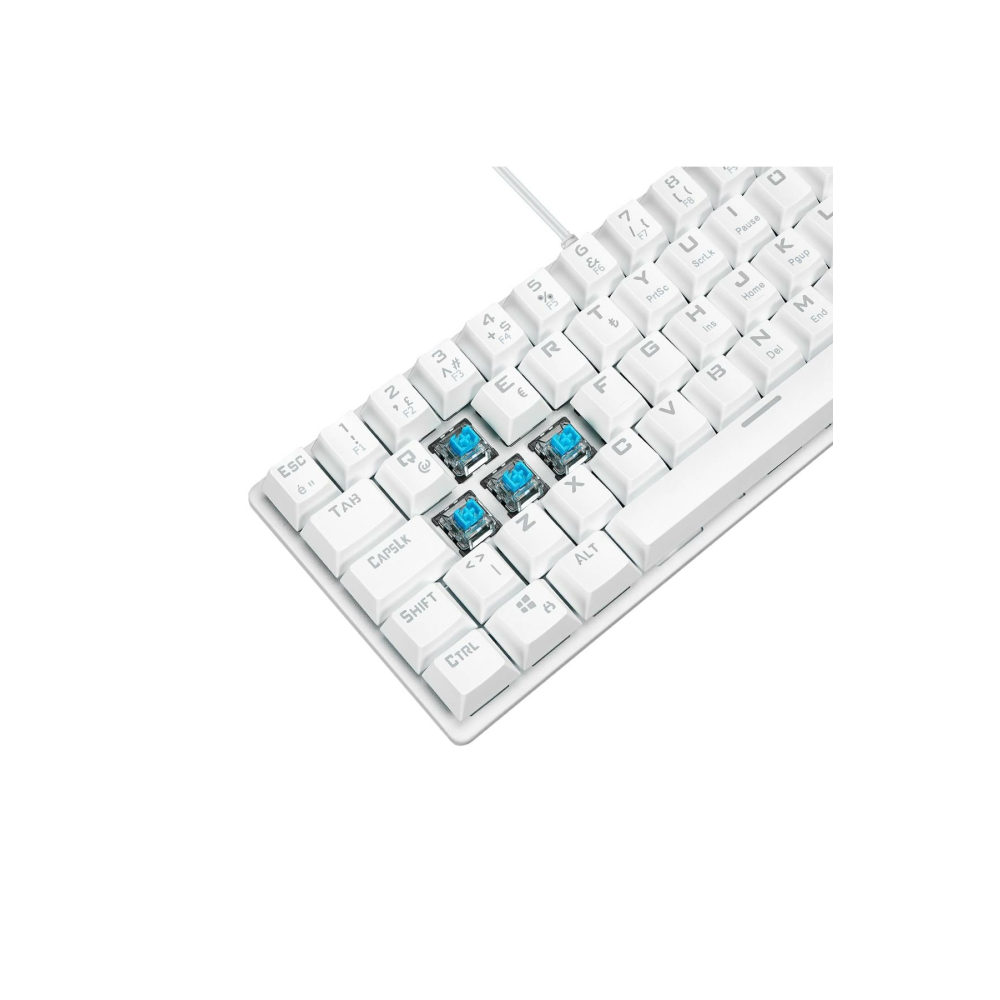 Rampage PLOWER K60 Beyaz 12 Işık Modlu Mekanik Bilek Destekli Blue Switch Gaming Oyuncu Klavye