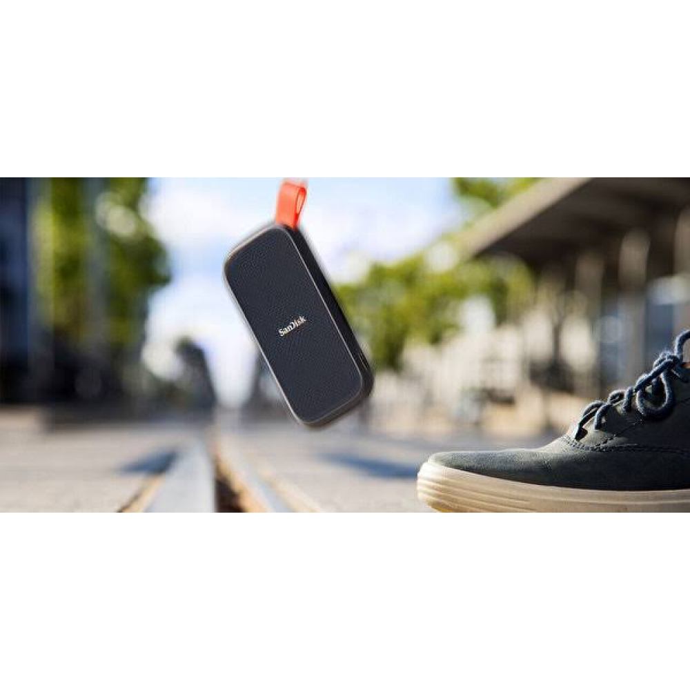 SANDISK Portable SSD 1TB SDSSDE30-1T00-G25