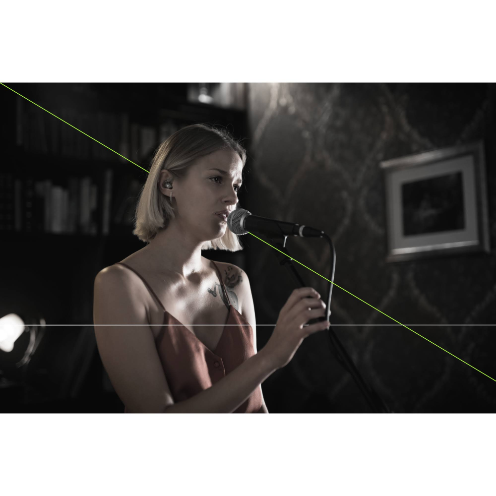 Shure SM58SE Vokal Mikrofonu