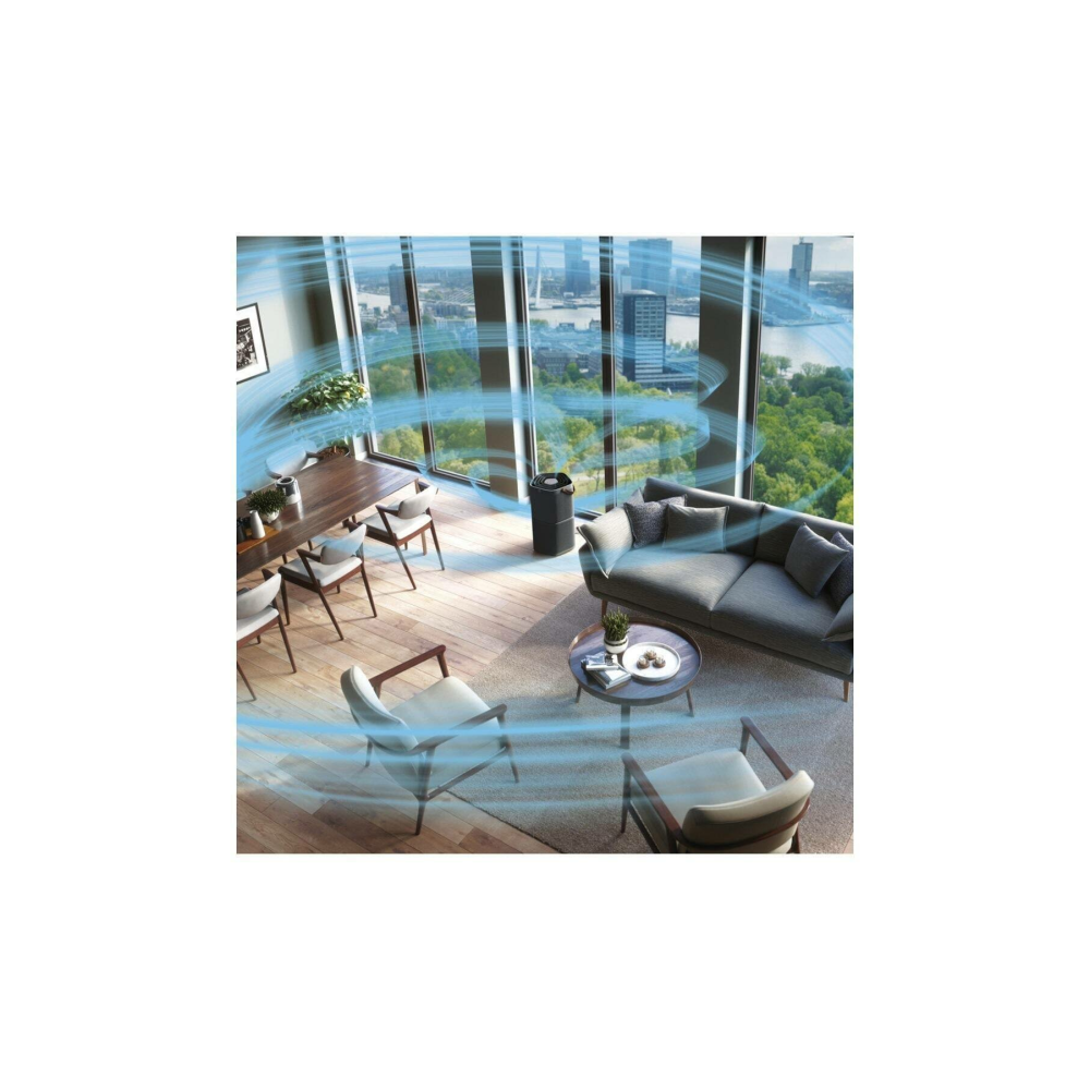 Electrolux PA91-404DG Hava Temizleme Cihazı