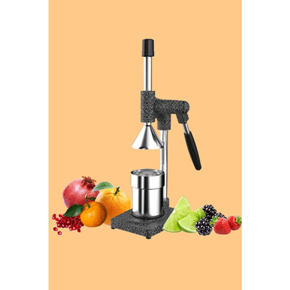 Kale Ev Tipi Meyve Presi 1702