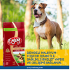 Enjoy Kuzu Etli Yetişkin Köpek Maması 15 Kg