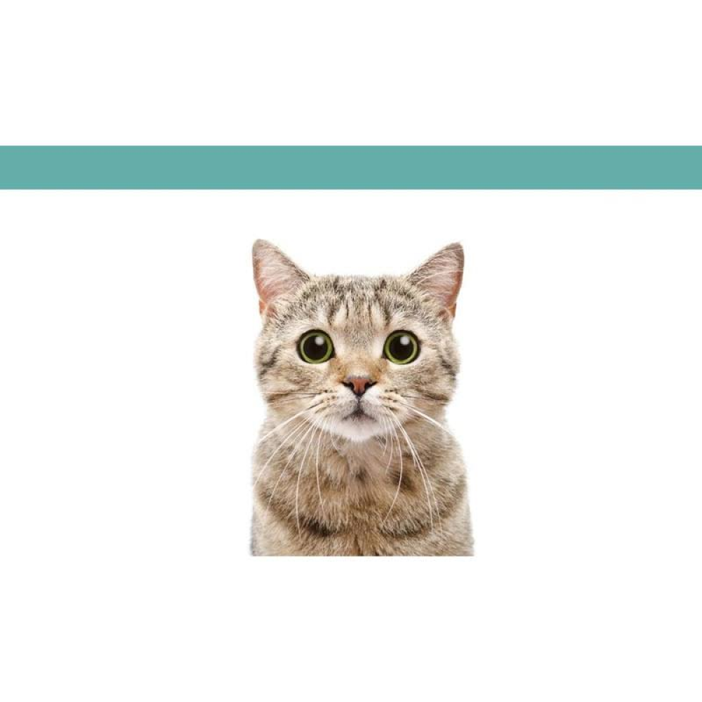 *Enjoy Tavuklu Yetişkin Kedi Maması 15 Kg