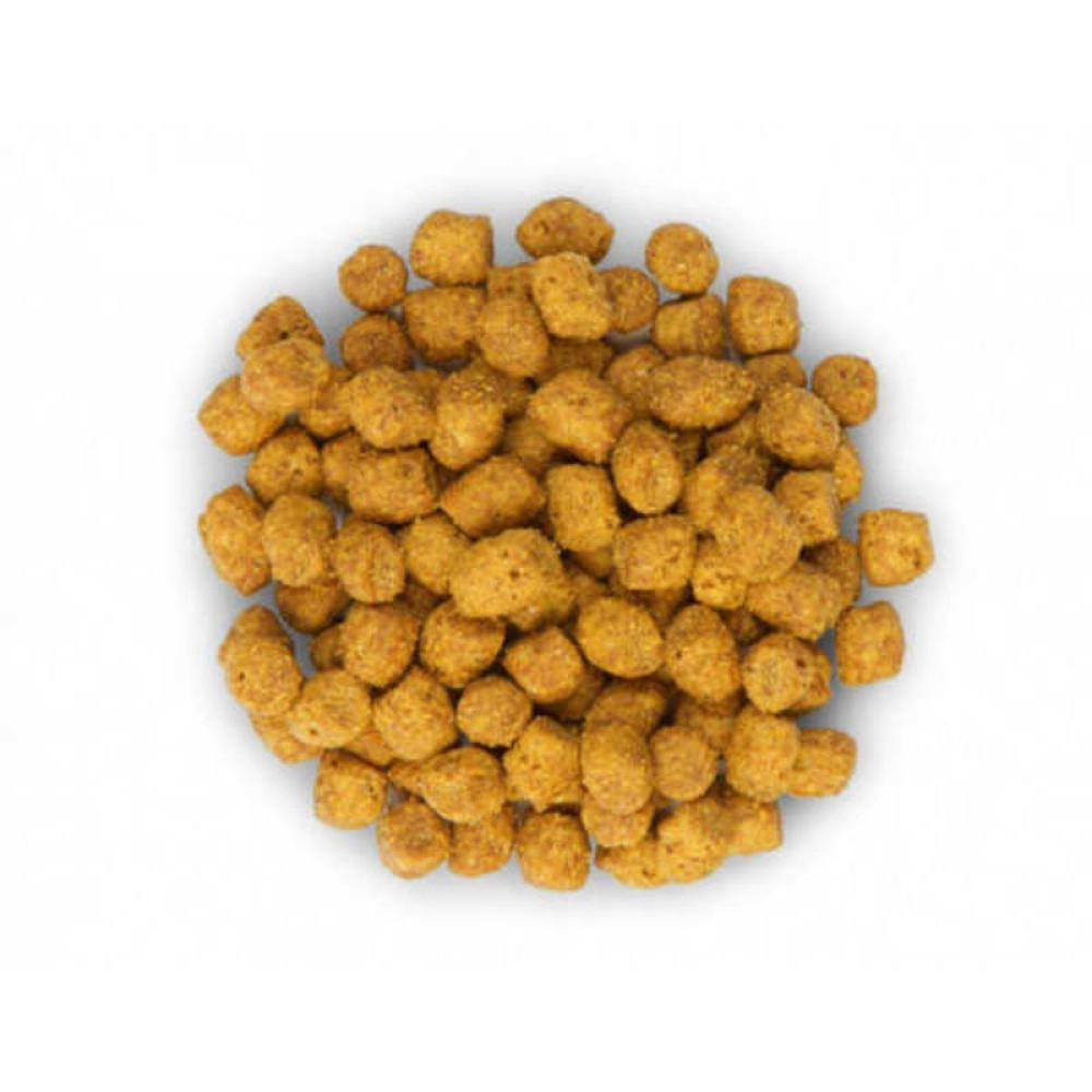 Hills Sterilised Kısırlaştırılmış Ton Balıklı Kedi Maması - 10 Kg