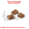 ROYAL CANIN KITTEN Yavru Kedi Maması 10 KG