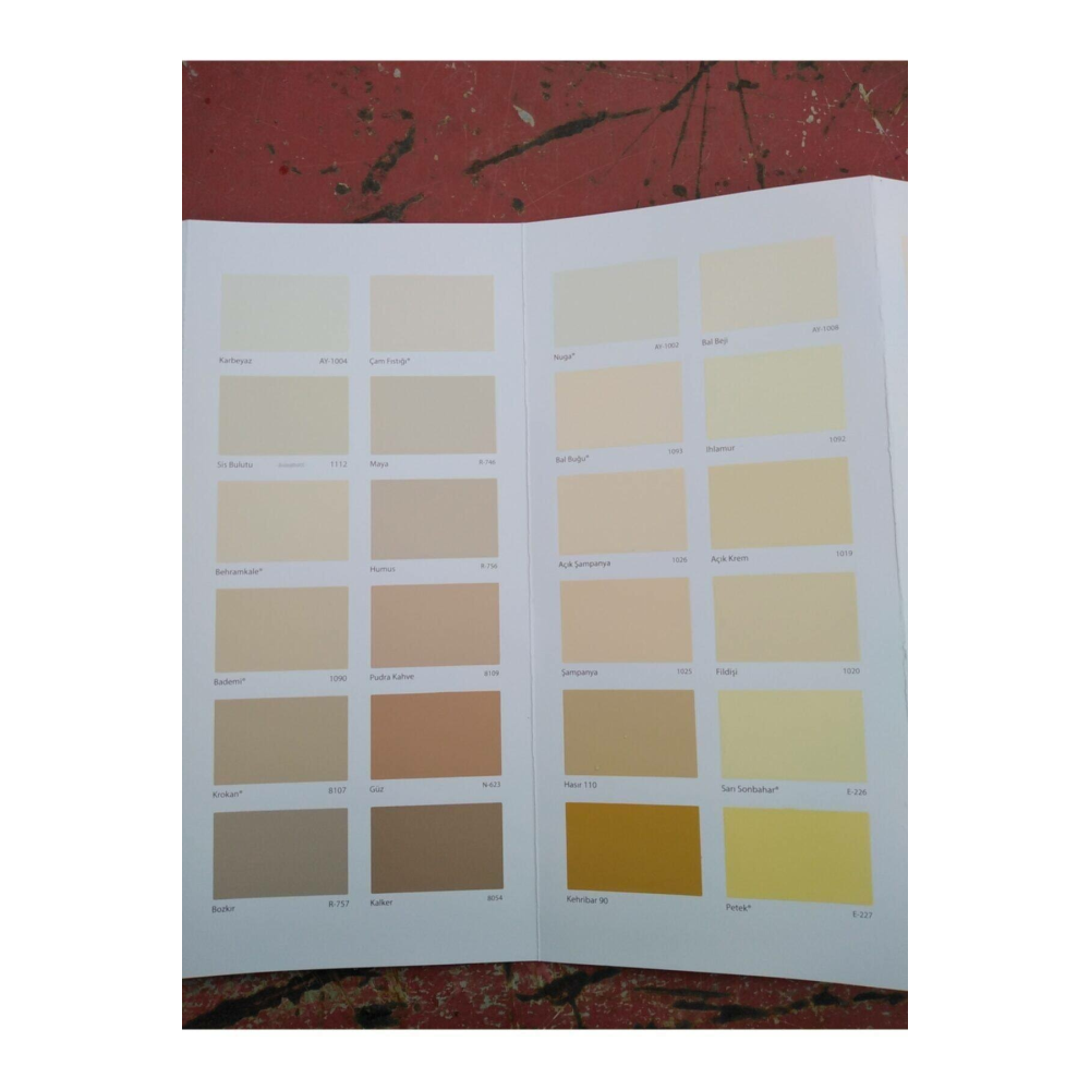 Filli Boya Momento Silan Silikonlu Iç Cephe Boyası