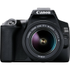 Canon Eos 250d 18-55mm Dc Iıı Fotoğraf Makinesi