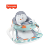 Fisher Price Tepsili Penguen Adası Ana Kucağı-HBF27