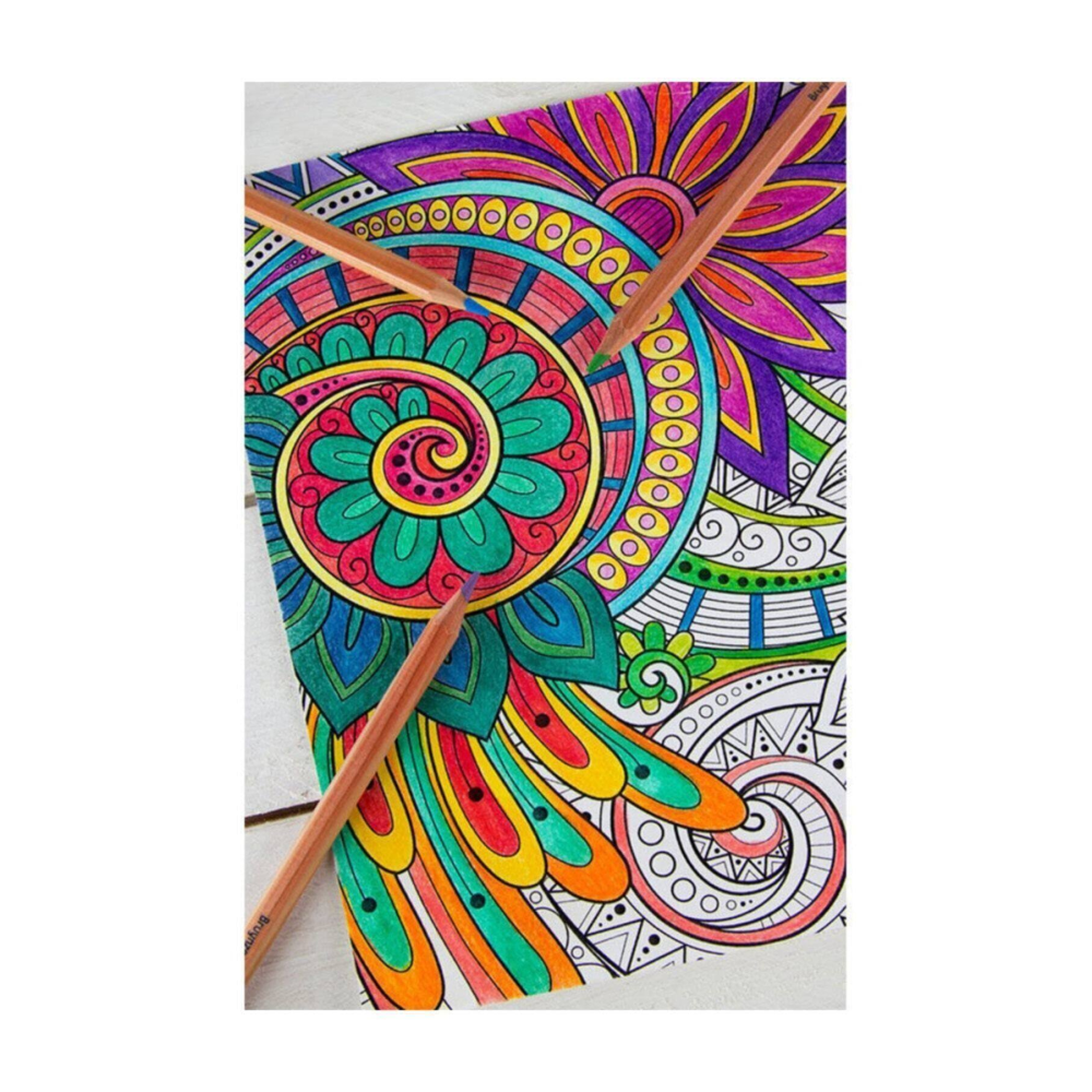 Bruynzeel Expression Colour 24'lü Kuru Kalem Boya Seti