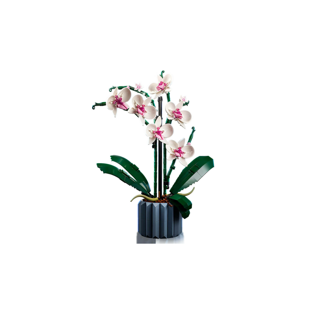 LEGO 10311 Orkide