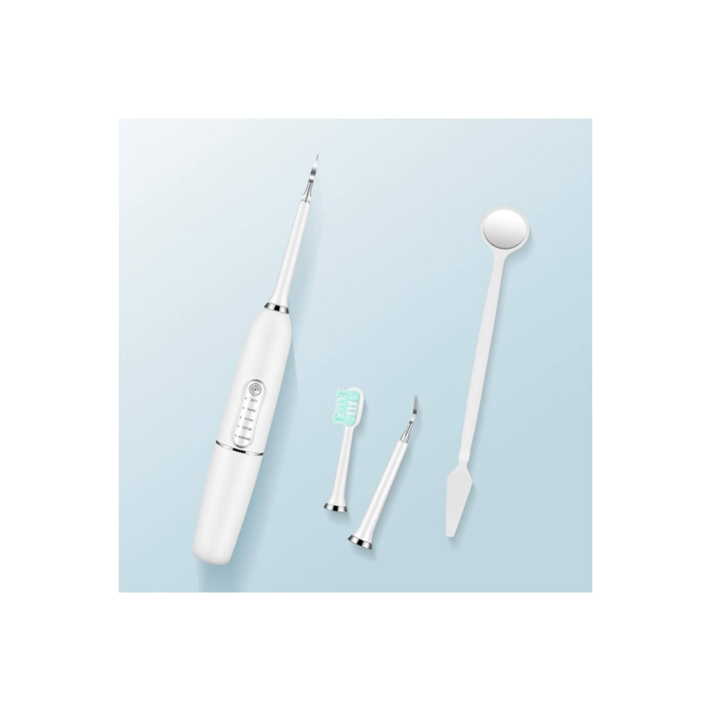 Ezere Elektrikli Diş Taşı Temizleyici Diş Tartar Sökücü USB Şarjlı Diş Fırçası Kiti