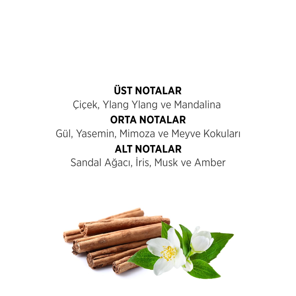 Privacy Edt Bayan 100 Ml