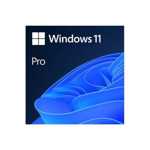 MICROSOFT WINDOWS 11 PRO 64Bit OEM TR FQC-10556
