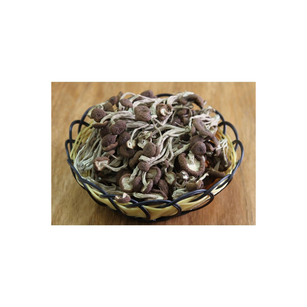 Shan Kurutulmuş Trıcholoma Matsutake Mantarı - 200 gr